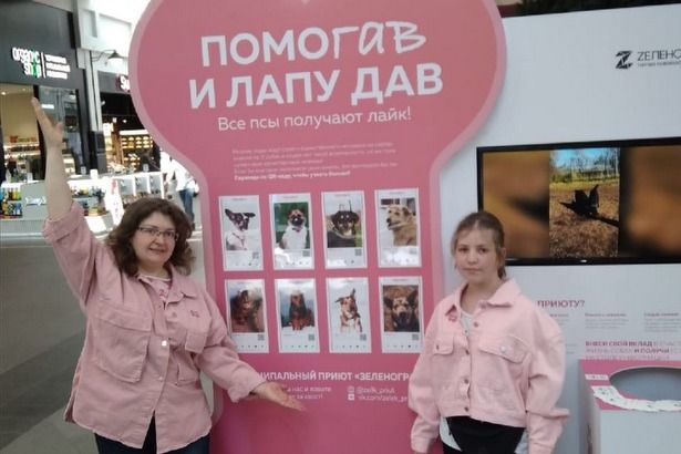 Жители могут помочь животным из приюта «Зеленоград»