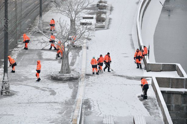 Житель Москвы предложил коммунальщикам использовать крем от грибка ногтей