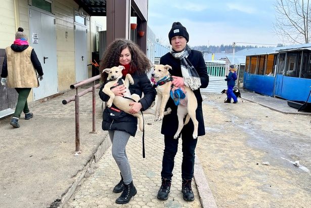 Молодежная палата провела добровольческую акцию в приюте для животных