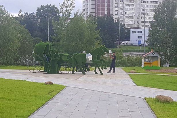 Каменский пруд обретет новых зеленых жителей