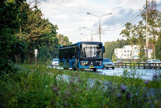 В определенные дни проезд на автобусах до кладбищ округа будет осуществляться бесплатно