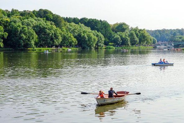 Купание в двух водоёмах Зеленограда временно запрещено