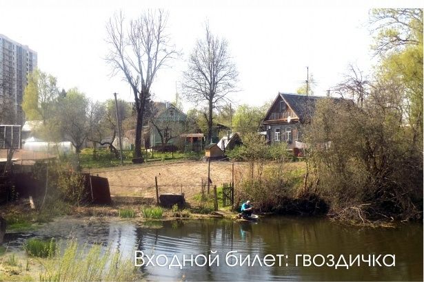 В Крюково пройдет мемориальная акция «Живая Каменка»