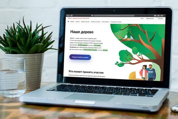 Москвичи забронировали более двух тысяч саженцев по проекту «Наше дерево»
