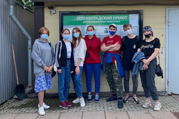 Волонтёры отметили Международный день собак в зеленоградском приюте