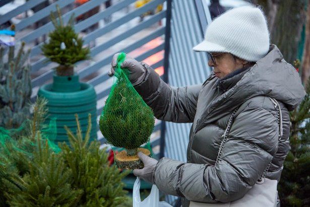 В Зеленограде с 20 декабря откроются семь ёлочных базаров