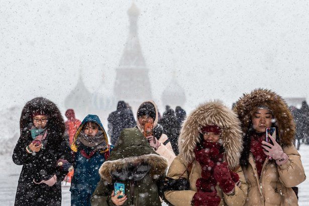Музеи и парки подготовили для своих гостей бесплатную программу