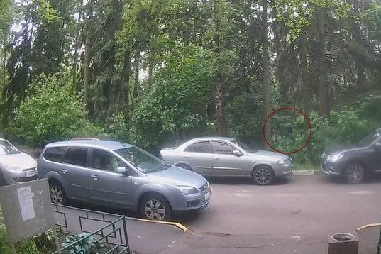 Житель Зеленограда ложно обвинил сотрудников клуба