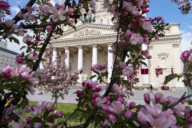 В Москве в этом году высадят свыше 350 тыс. деревьев и кустарников