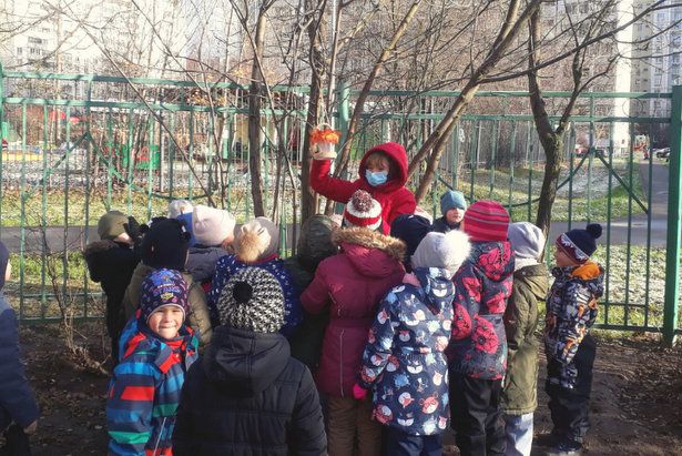 Синичкин день отметили в школе № 1194
