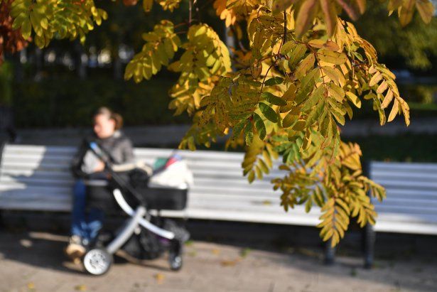 Собянин: Продления нерабочих дней в Москве не будет