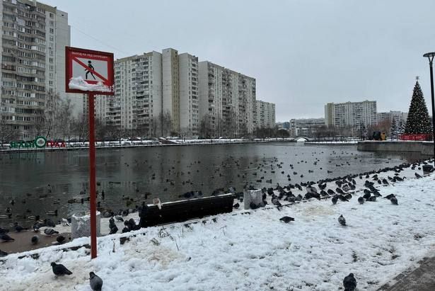 На зеленоградских водоемах заменили знаки безопасности