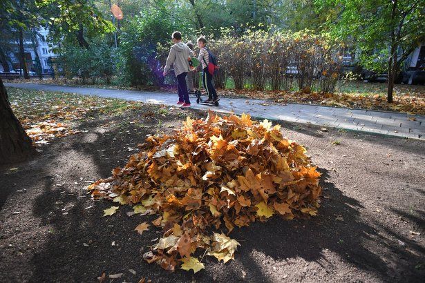 В Зеленограде начался месячник осеннего благоустройства
