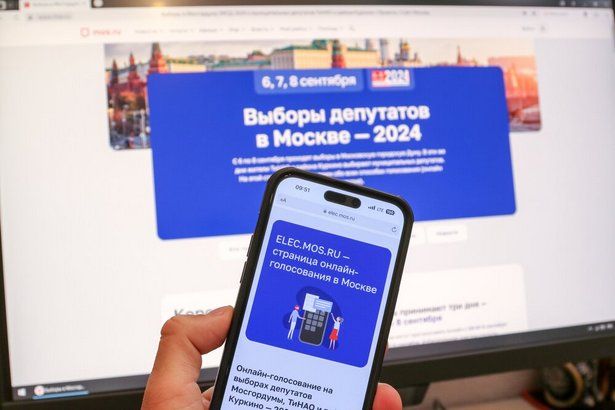 Асафов: Большинство москвичей выбирают электронное голосование