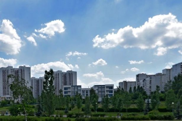Осенью территорию Крюково озеленят почти на 20 млн рублей
