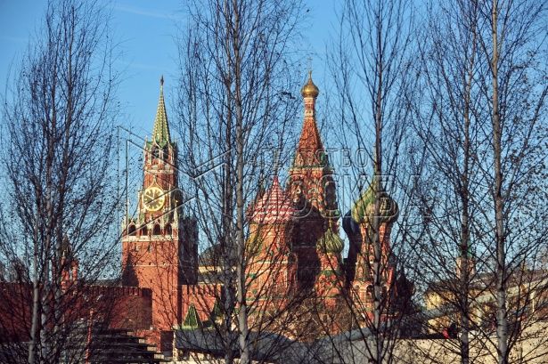Масштабная высадка растений начнется в «Зарядье» этой весной