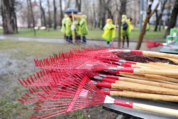 Управа приглашает крюковчан на субботник