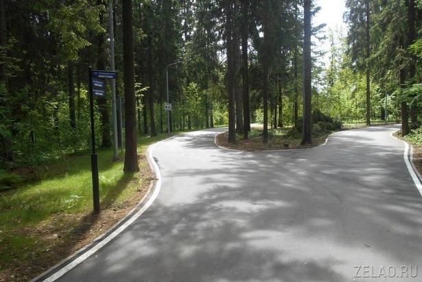 В районе Крюково появится благоустроенная лыжероллерная трасса