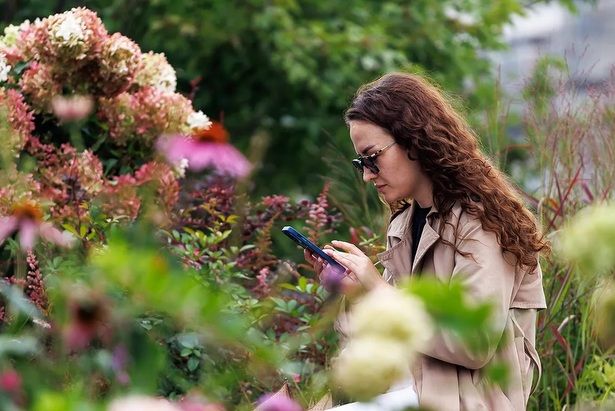 Собянин: Столичная сеть Wi-Fi — одна из крупнейших и разветвленных в мире
