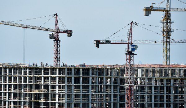 Два земельных участка в Зеленограде выставили на аукцион