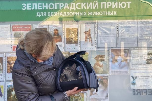 Приют «Зеленоград» сообщает о новых выпускниках