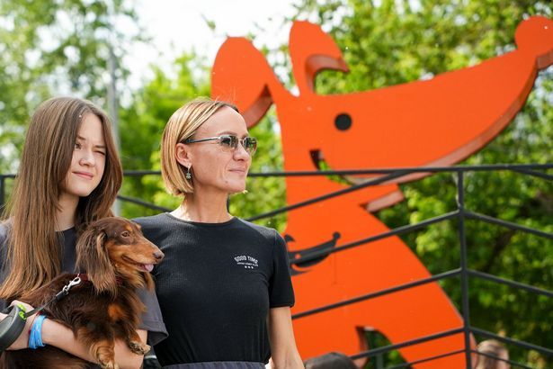 Москвичи поделятся идеями по созданию комфортной среды для домашних питомцев