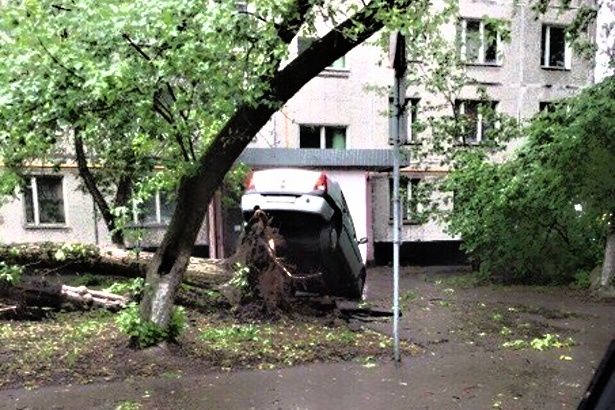 В Зеленограде завершается ликвидация последствий урагана