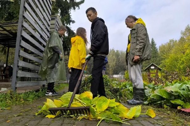 Волонтеры Дворца творчества привели в порядок территорию «Дома лани» в рамках субботника