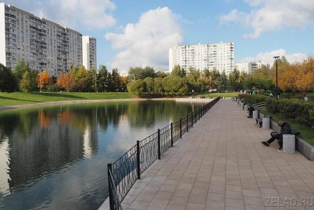 В Зеленограде представлены программы по благоустройству на 2024 год