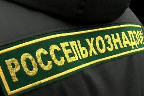 Ветеринарной клиникой «Котопес» теперь займутся судебные приставы