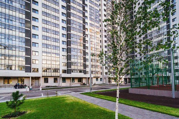 Депутат Мосгордумы Елена Николаева: Реализацию программы реновации не остановят