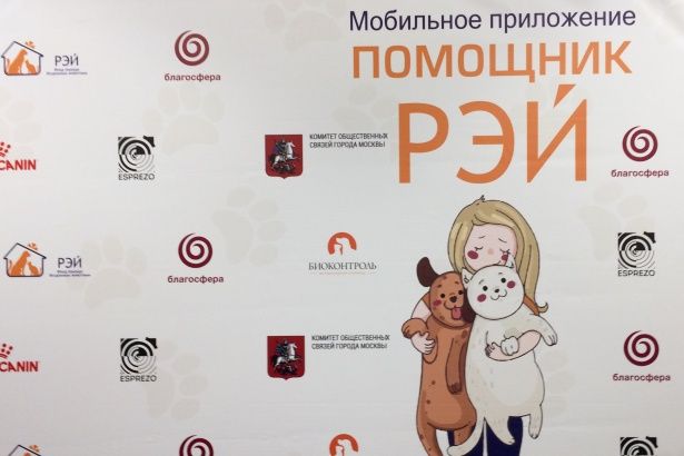 Для желающих помочь приютам животных создано мобильное приложение