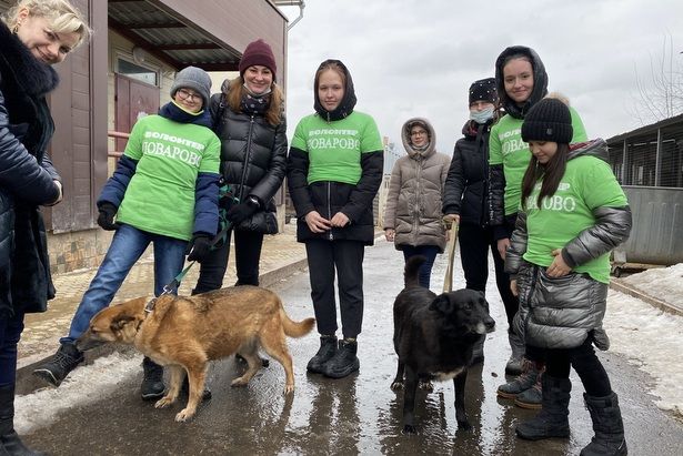 Школьники стали гостями приюта «Зеленоград»