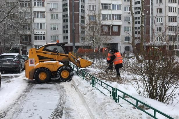 В районе завершилась обрезка тополей