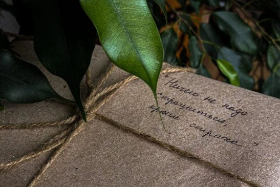 Посетители библиотек получат книгу в подарок
