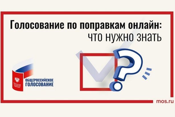 Насколько безопасно голосование в Сети?
