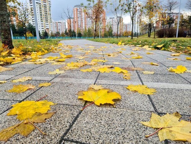 Депутат ГД Владимир Ресин рассказал, как благоустроят Москву в ближайшие пять лет