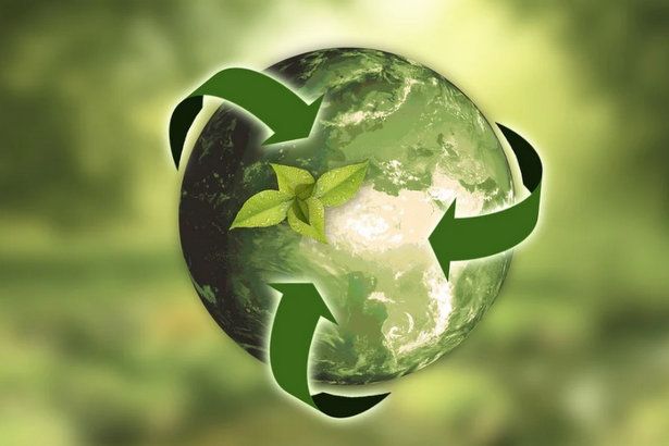 Курсы для эколовонтеров в Москве планируют открыть в феврале 2021 года
