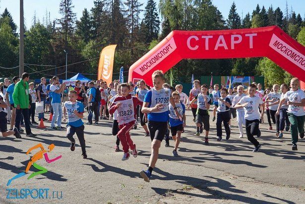 «Кросс нации» пройдёт в 17 микрорайоне в субботу