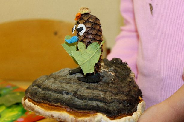 Маленькие крюковчане создали птиц из шишек