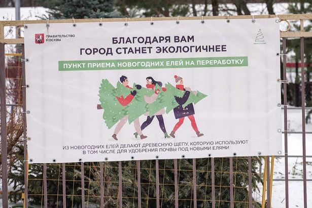 В Крюково работают два пункта приема использованных новогодних деревьев