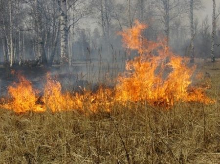В Зеленограде отмечается рост бесконтрольного пала сухой травы