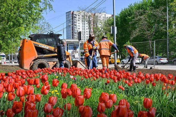 Мэр Москвы озвучил планы благоустройства в Орехово-Борисове