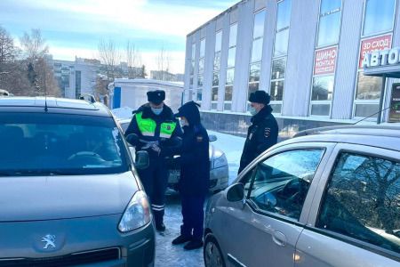 Госавтоинспекторы провели профилактическое мероприятие