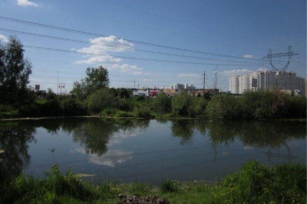 В 17 микрорайоне "Крюково" благоустроят Кукуевские пруды