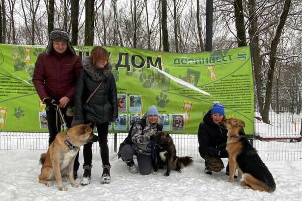Воспитанники зеленоградского приюта для животных стали гостями на кинологическом концерте