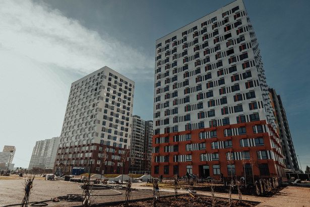Отлов бездомных собак в 17-м микрорайоне Зеленограда продолжается