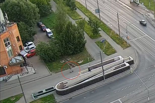 20-летний зеленоградец подозревается в краже самоката