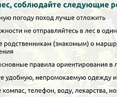 Ходить в лес в осенний период нужно правильно
