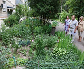 В 18 и 20 микрорайонах завершился конкурс «Цветочная симфония Крюково»